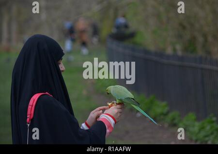 Hyde Park, Londres - 07 Avril 2018 : femme arabe alimentant une perruche, Banque D'Images