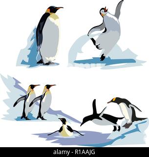 Un ensemble d'imperial réaliste pingouins dans différentes poses. Les oiseaux adultes et poussins. Illustration de Vecteur