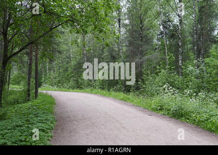 Un excellent moyen de forêt verte plantes parc Banque D'Images