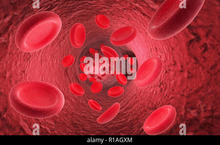 Les érythrocytes globules rouges dans l'intérieur des artères ou des vaisseaux sanguins capillaires montrant des cellules endothéliales et l'écoulement de sang ou d'un ruisseau Human Anatomy model Banque D'Images
