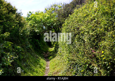 Côte à Portscatho, Roseland Peninsula, Cornwall, Angleterre Banque D'Images