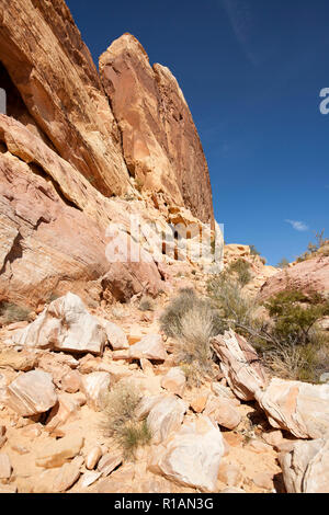 Dômes blancs sentier dans la Vallée de Feu State Park, Nevada Banque D'Images