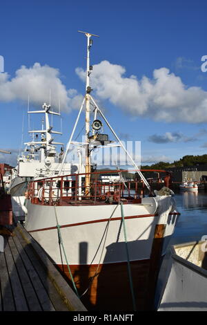 Norwegen, Lofoten, Hafen, Napp, Nappstraumen Fischerboot Fischerei,,,, Fischereiflotte Nappholmen Anker, Scheinwerfer, Nappsvågen Fischverarbeitung,,, Banque D'Images