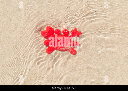 L'ermite rouge jouet sur le sable sous une mer peu profonde avec de l'eau reflets du soleil sur la surface de l'eau. Banque D'Images