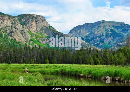 Rocky Mountain National Park Lake en juillet avec des montagnes et des arbres en arrière-plan et d'un lac, d'herbe et un homme de mouche au premier plan Banque D'Images