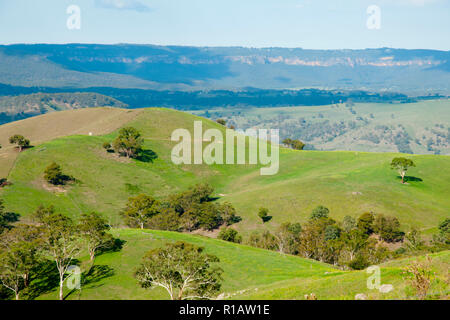 Les pâturages dans les Montagnes Bleues - Australie Banque D'Images