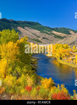 Couleurs d'automne le long de la rivière grand trou près de diviser, Montana Banque D'Images