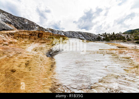 Terrasse monticule hotsprings dans le Parc National de Yellowstone Banque D'Images