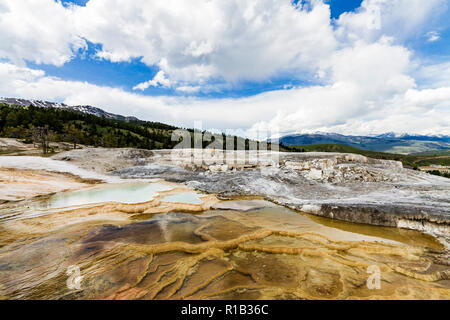 Terrasse monticule hotsprings dans le Parc National de Yellowstone Banque D'Images