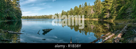 Rivière et arbres, Algonquin National Park, Ontario, Canada Banque D'Images