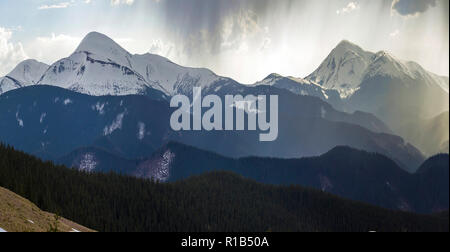 Magnifique vue panoramique sur les montagnes des Carpates brumeuses, couvertes de forêt toujours verte sur calme brumeux matin ou soir sous dark clo Banque D'Images