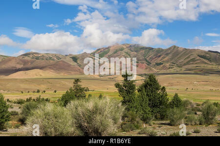 Paysage de montagne avec les arbres en premier plan. Gorny Altaï, Russie Banque D'Images