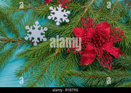 Close up et branches de sapin fond bleu 01. Banque D'Images