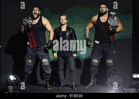 Rome, Italie. 11Th Nov, 2018. Show WWE Live at the Palalottomatica-Rome 10-11-2018 Dans l'image La photo d'AOPS01 Photographe indépendant : Crédit Photo Agency/Alamy Live News Banque D'Images