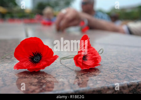 Darwin, Australie. 11Th Nov, 2018. Commémoration à l'occasion du Jour du Souvenir pour le centenaire de l'Armistice, au cénotaphe de Darwin sur Parc du Bicentenaire de Darwin, Territoire du Nord, Australie - 2018.11.11 - Photo par Regis Martin Crédit : Regis Martin/Alamy Live News Banque D'Images