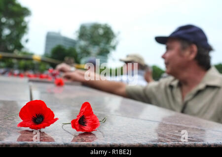 Darwin, Australie. 11Th Nov, 2018. Commémoration à l'occasion du Jour du Souvenir pour le centenaire de l'Armistice, au cénotaphe de Darwin sur Parc du Bicentenaire de Darwin, Territoire du Nord, Australie - 2018.11.11 - Photo par Regis Martin Crédit : Regis Martin/Alamy Live News Banque D'Images