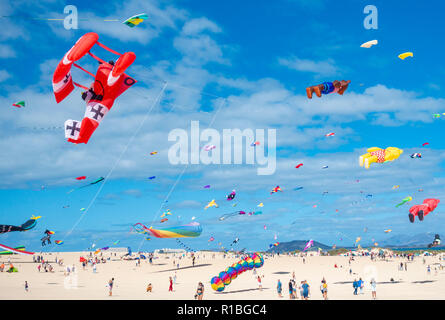 Fuerteventura, Îles Canaries, Espagne. 10 Nov, 2018. Un Baron Rouge kite se précipite vers le bas comme des centaines de cerfs-volants voler sur El Burro beach dunes près de Corralejo en 2018 Festival International de Cerf-volant à Fuerteventura dans les îles Canaries. Credit : ALAN DAWSON/Alamy Live News Banque D'Images