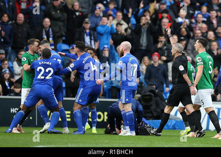 Dale Stephens de Brighton (l) s'affiche à l'affrontement avec les chefs de la ville de Cardiff Callum Paterson alors qu'il réagit après avoir été cardée rouge par l'arbitre Martin Atkinson. Premier League match, Cardiff City v Brighton & Hove Albion au Cardiff City Stadium le samedi 10 novembre 2018. Cette image ne peut être utilisé qu'à des fins rédactionnelles. Usage éditorial uniquement, licence requise pour un usage commercial. Aucune utilisation de pari, de jeux ou d'un seul club/ligue/dvd publications. Photos par Andrew Andrew/Verger Verger la photographie de sport/Alamy live news Banque D'Images