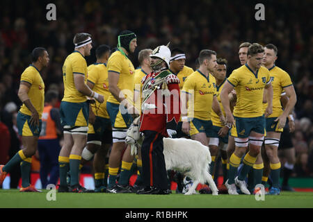 Cardiff, Royaume-Uni. 10 Nov, 2018. Le Royal Welsh bouc régimentaire Shenkin IV passe par l'équipe de rugby de l'Australie avant le Pays de Galles v Australie, sous blindage automne série international rugby match à la Principauté Stadium de Cardiff, Pays de Galles, Royaume-Uni Le samedi 10 novembre 2018. Photos par Andrew Verger/Alamy Live News VEUILLEZ NOTER PHOTO DISPONIBLE POUR UN USAGE ÉDITORIAL UNIQUEMENT Banque D'Images