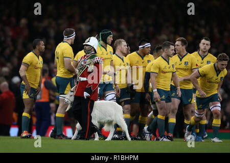 Cardiff, Royaume-Uni. 10 Nov, 2018. Le Royal Welsh bouc régimentaire Shenkin IV passe par l'équipe de rugby de l'Australie avant le Pays de Galles v Australie, sous blindage automne série international rugby match à la Principauté Stadium de Cardiff, Pays de Galles, Royaume-Uni Le samedi 10 novembre 2018. Photos par Andrew Verger/Alamy Live News VEUILLEZ NOTER PHOTO DISPONIBLE POUR UN USAGE ÉDITORIAL UNIQUEMENT Banque D'Images