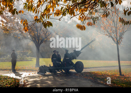 Cardiff, Royaume-Uni. 11 novembre 2018. Dimanche du souvenir du centenaire, la commémoration du Jour de l'Armistice au Welsh National War Memorial à Cardiff. Denman Haydn Crédit/Alamy Live News Banque D'Images