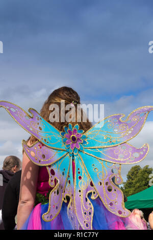 Nouvelle Forêt Conte Festival, Burley, Hampshire, Royaume-Uni Banque D'Images