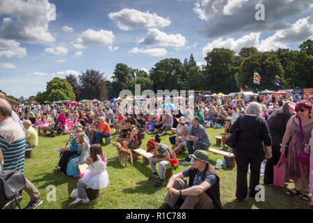 Nouvelle Forêt Conte Festival, Burley, Hampshire, Royaume-Uni Banque D'Images