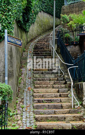 Escaliers dans la rue qu'on appelle Treppenviertel (lit. escaliers quart) à Hambourg Blankenese, Allemagne Banque D'Images