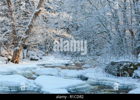 Rivière qui traverse le paysage de forêt d'hiver Banque D'Images