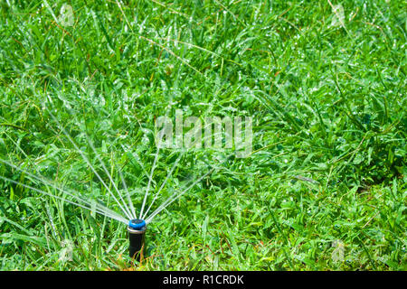 L'arrosage du gazon sur les jours ensoleillés. Sprinkleur bleu Banque D'Images