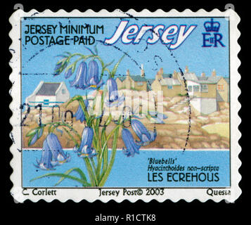 Timbres-poste de Jersey dans les récifs du large série émise en 2003 Banque D'Images