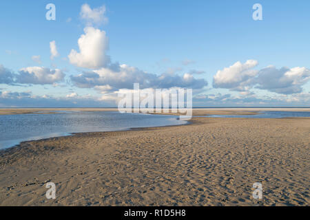 La côte de la mer du Nord des Pays-Bas à Paal 31 sur l'île hollandaise de Texel Banque D'Images