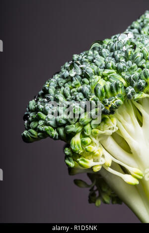 Le brocoli vert frais avec de l'eau gouttes macro close-up sur fond noir Banque D'Images