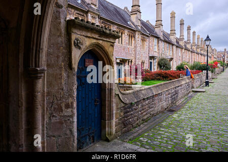 Couleurs d'automne en novembre au vicaire est proche, Wells, Somerset, UK Banque D'Images