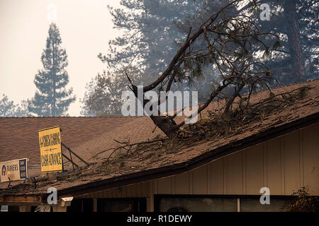 Magalia, CA, USA. 11Th Nov, 2018. Un arbre est tombé sur le toit de l'immeuble commercial lors du feu de camp le dimanche, Novembre 11, 2018 dans le paradis. Crédit : Paul Kitagaki Jr./ZUMA/Alamy Fil Live News Banque D'Images