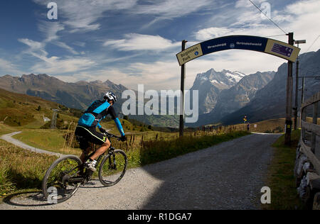 Grindelwald, Berne, Swittzerland. 13 Oct, 2018. Le 24 septembre 2018. La région de l'Oberland bernois en Suisse est facilement accessible en vélo de montagne avec un nombre sans cesse croissant de sentiers et facile d'accès en montée avec des trains de la ville de Gridelwald ou Wengen, Suisse. Credit : Ralph Lauer/ZUMA/Alamy Fil Live News Banque D'Images