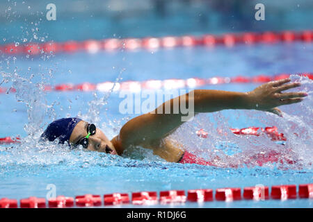 Tokyo, Japon. 11Th Nov, 2018. Mayuko Goto (JPN) Natation : Coupe du Monde de Natation FINA 2018 Tokyo Women's 800m nage libre lors de la natation internationale Tatsumi Center à Tokyo, Japon . Credit : Yohei Osada/AFLO SPORT/Alamy Live News Banque D'Images