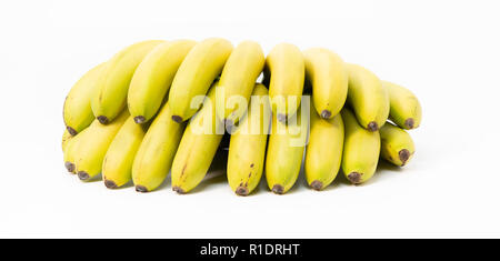 Lady finger banane (Musa acuminata) isolé sur fond blanc. Banque D'Images