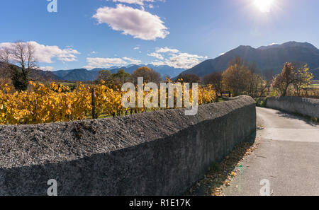 Vignoble doré et du Grapevine pays paysage avec une vue sur les montagnes et la vallée et un vieux mur de pierre traditionnel et la route en premier plan Banque D'Images