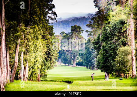 Golf Nuwara Eliya, Sri Lanka Banque D'Images