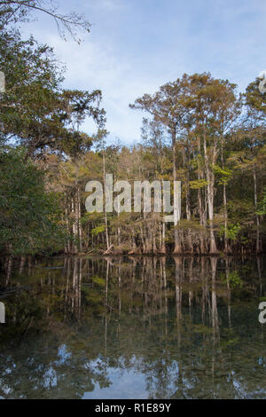 Manatee Springs State Park, Chiefland, Floride Banque D'Images