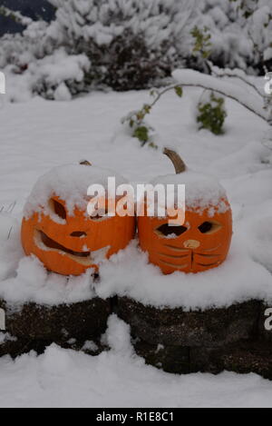 La neige couvrant les citrouilles pour l'Halloween Banque D'Images