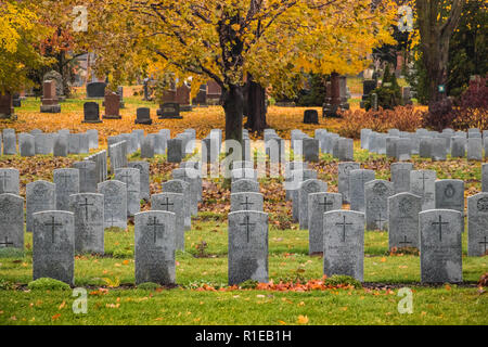 Cimetière Beechwood Canadien National - cimetière militaire de la Force canadienne - Ottawa, Ontario, Canada Banque D'Images