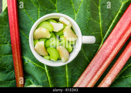 Rhubarbe (Rheum rhabarbarum) pelées et coupées en tranches en pièces dans une tasse blanche sur une feuille de rhubarbe et à la rhubarbe les tiges. Fond en bois blanc. Banque D'Images