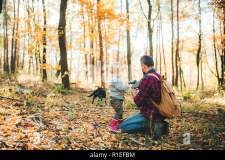 Un père et un petit garçon dans une forêt d'automne, prendre des photos avec un appareil photo. Banque D'Images