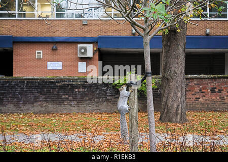 L'écureuil gris dans le parc de la ville Banque D'Images