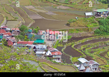Batad est un village reculé d'environ 1 500 personnes dans la province d'Ifugao. C'est dit d'être à la maison pour le meilleur et le plus préservé des terrasses de riz Banque D'Images