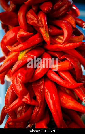 Close up of bright Red Chili Peppers montés ensemble, appelé ristras, communs à la région et la cuisine mexicaine Banque D'Images