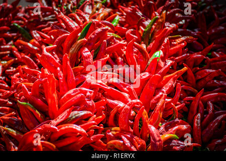 Close up of bright Red Chili Peppers montés ensemble, appelé ristras, communs à la région et la cuisine mexicaine Banque D'Images