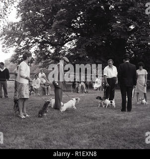 Années 1960, historiques, à l'extérieur à une fête, les propriétaires de chiens dans un champ avec leurs animaux de se préparer à participer à un exercice d'entraînement, England, UK. Banque D'Images